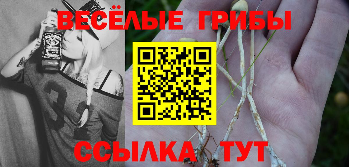 Галлюциногенные грибы Psilocybe  Псилоцибиновые грибы GOLDEN TEACHER  Вход с VPN  Котовск 